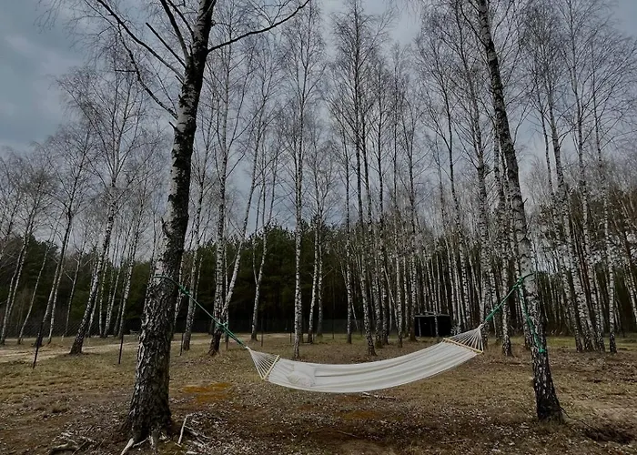 Cisza Lasu Prázdninový dům *